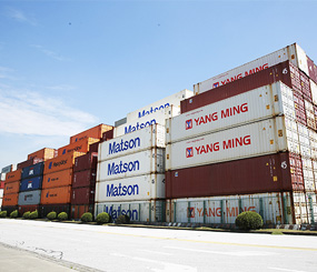 泰鸿玩具出口海运服务操作便捷可靠,价格收费透明 泰鸿玩具出口海运服务操作便捷可靠,价格收费透明